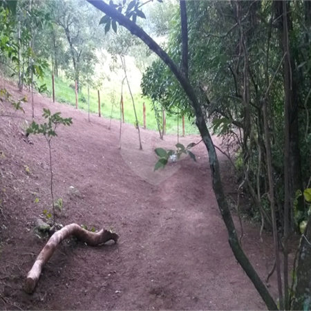 Sítio à venda no Centro, Monte Sião, MG