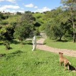 Chácara à venda com 2 quartos, sendo 1 suíte, em Santa Cândida, Vinhedo, SP