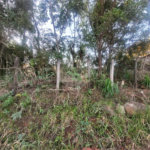 Terreno à venda em Santa Inês, Mairiporã, SP