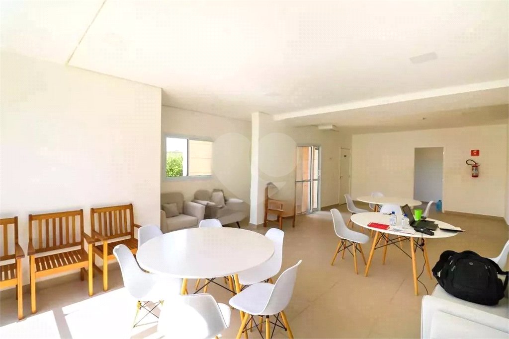 Apartamento à venda com 2 quartos, sendo 1 suíte, em Vila Gustavo, São Paulo, SP