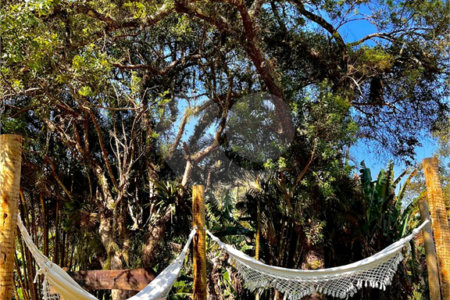 Sítio à venda com 8 suítes em Jardim Vinhas do Sol (mailasqui), São Roque, SP