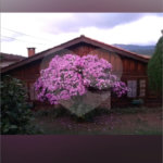 Casa Térrea à venda com 4 quartos, sendo 1 suíte, em Jardim Centenário, Atibaia, SP