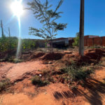 Terreno à venda em Jardim das Violetas, Três Lagoas, MS