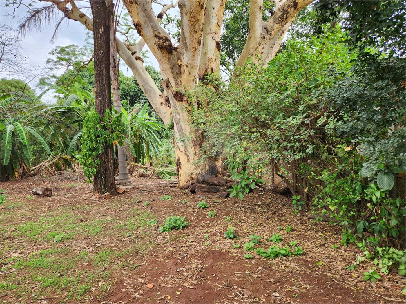 Chácara à venda com 2 quartos em Jardim Califórnia, Araraquara, SP