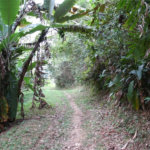 Terreno à venda em Rio Grande, São Bernardo do Campo, SP