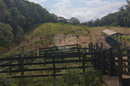 Sítio à venda com 5 quartos, sendo 1 suíte,  em Área Rural de Tapiraí, Tapiraí, SP