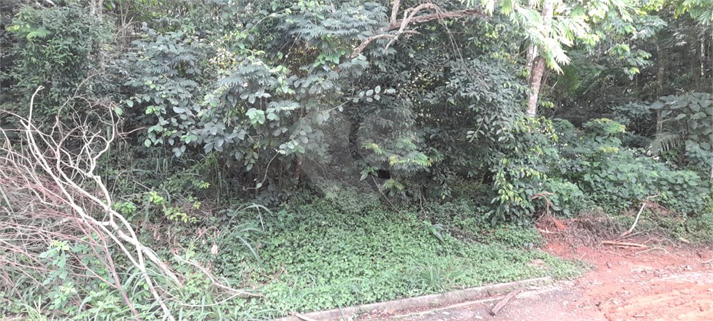 Terreno à venda em Roseira, Mairiporã, SP