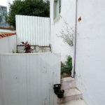 Casa à venda com 3 quartos, sendo 1 suíte, em Jardim Ribeiro, Valinhos, SP