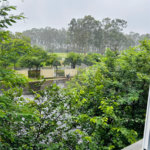 Apartamento à venda com 2 quartos em Reserva Real, Ribeirão Preto, SP
