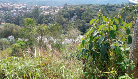 Terreno à venda em Barreiro, Mairiporã, SP