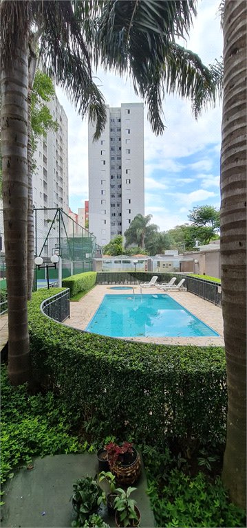 Apartamento à venda com 3 quartos em Vila Talarico, São Paulo, SP