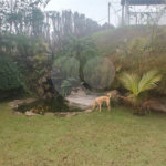 Chácara à venda com 3 quartos, sendo 1 suíte,  no Centro, Nazaré Paulista, SP