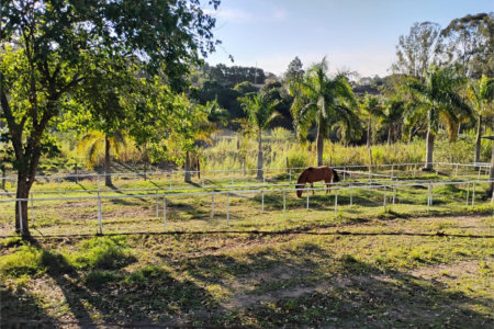Terreno à venda em Estância Hidromineral Santa Eliza, Itupeva, SP