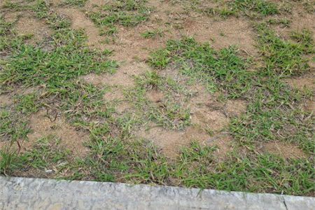 Terreno à venda no condomínio Residencial Dona Maria Candida, Indaiatuba - SP