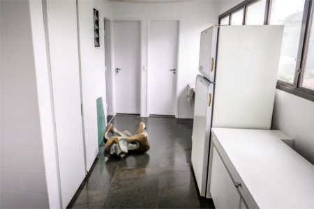 Apartamento à venda com 3 suítes em Paineiras do Morumbi, São Paulo, SP