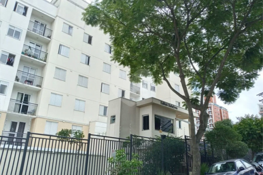 Lindo apartamento na Vila Mascote — 3 dormitórios e condomínio incluso!