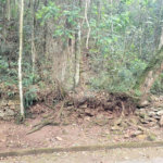Terreno à venda no condomínio Alpes da Cantareira, Mairiporã - SP