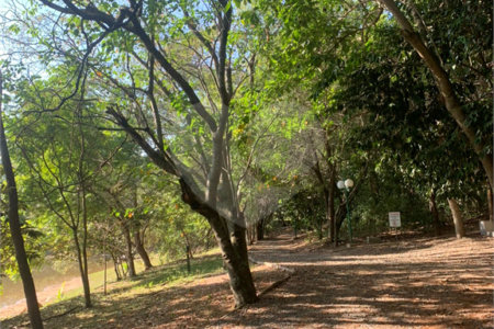 Casa à venda com 4 quartos, sendo 3 suítes, no condomínio Jardim Reserva Bom Viver de Indaiatuba, Indaiatuba - SP