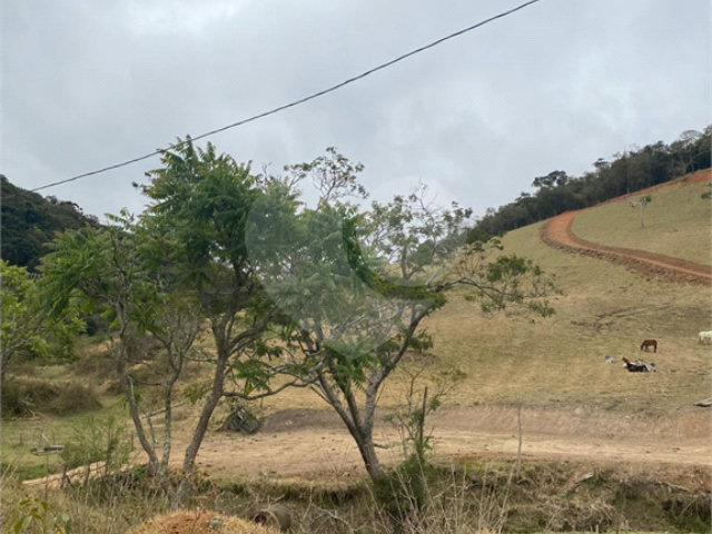 Sítio à venda no Centro, Sapucaí-mirim, MG