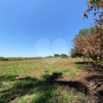 Terreno à venda em Recreio Anhangüera, Ribeirão Preto, SP
