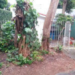 Sobrado à venda com 3 quartos em Chácara Santo Antônio (zona Sul), São Paulo, SP