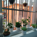 Sobrado à venda com 3 quartos, sendo 1 suíte, em Casa Verde, São Paulo, SP