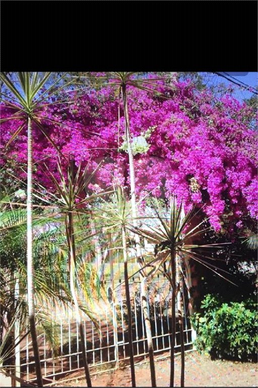 Casa Térrea no Condomínio Vila Pinhal Do Broa