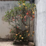 Casa Térrea à venda com 2 quartos em Campo Grande, Rio de Janeiro, RJ
