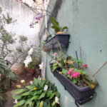 Sobrado à venda com 4 quartos, sendo 1 suíte,  em Jardim São Paulo(zona Norte), São Paulo, SP