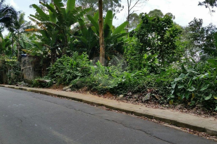 Terreno à venda em Tucuruvi, São Paulo, SP