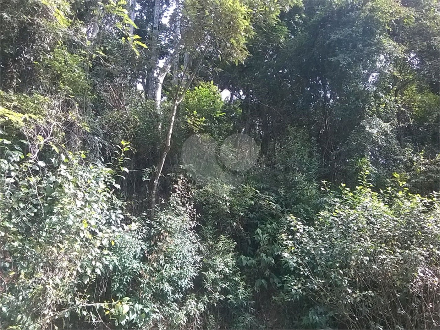 Terreno à venda em Serra da Cantareira, Mairiporã, SP