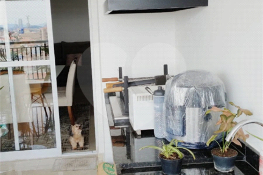 Apartamento à venda com 3 suítes em Freguesia do Ó, São Paulo, SP