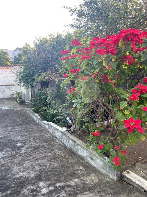Terreno à venda em Tucuruvi, São Paulo, SP