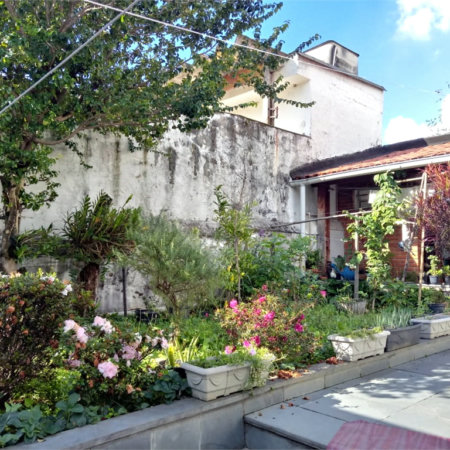 Casa Térrea à venda com 3 quartos, sendo 1 suíte, em Vila Paulicéia, São Paulo, SP