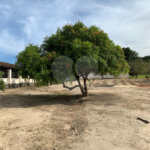 Sítio à venda ou para alugar com 3 suítes em Parque Residencial Indaiá, Indaiatuba, SP