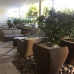 Apartamento de 53m2 na Vila Mascote