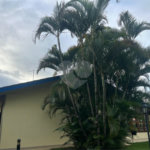 Casa à venda com 5 quartos, sendo 2 suítes, em Parque Residencial Colina das Estrelas, Tatuí, SP