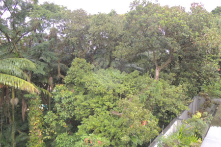 Casa à venda com 3 suítes no condomínio Jardim Flora, São Paulo - SP