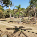 Sítio à venda com 5 quartos, sendo 2 suítes, em Área Rural de Indaiatuba, Indaiatuba, SP