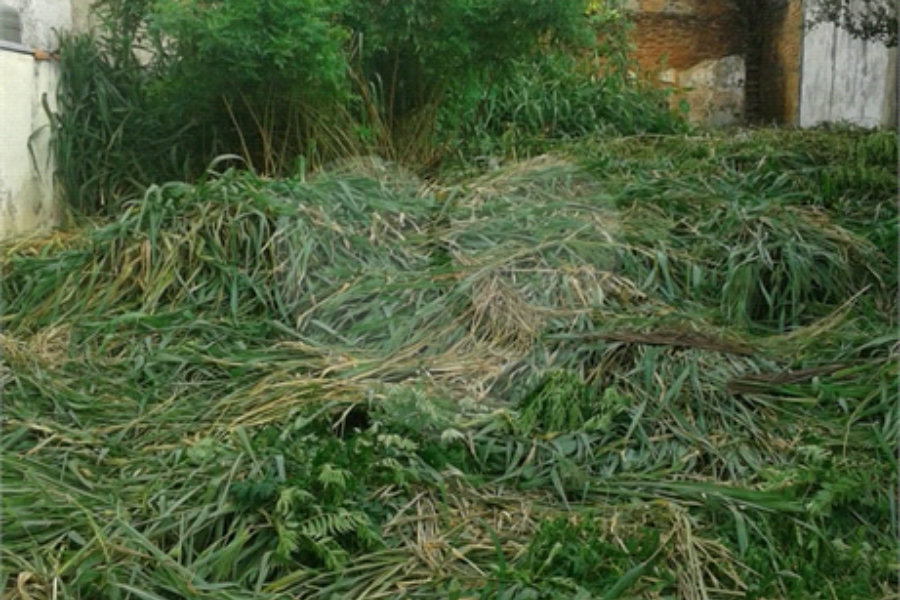 Terreno à venda em Imirim, São Paulo, SP