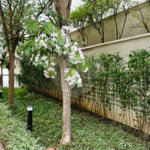 Apartamento à venda com 3 quartos, sendo 2 suítes, em Pinheiros, São Paulo, SP