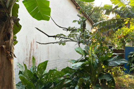 Casa à venda com 2 quartos em Tucuns, Armação dos Búzios, RJ