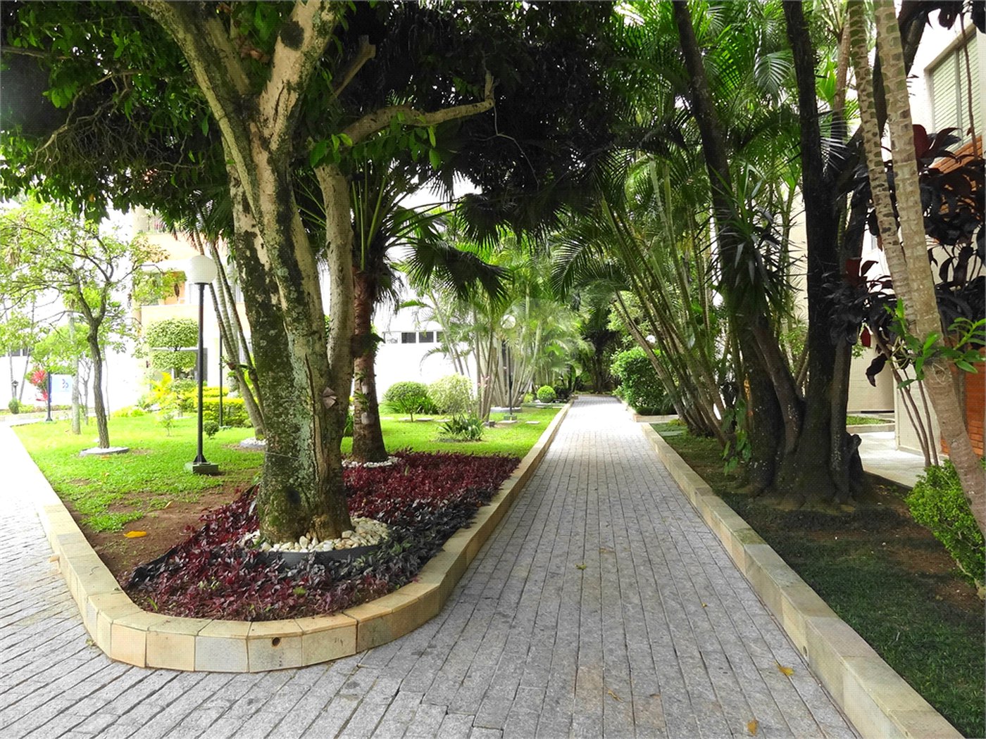 Apartamento à venda com 3 quartos, sendo 1 suíte, em Barro Branco (zona Norte), São Paulo, SP