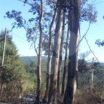 Terreno à venda em Caete (mailasqui), São Roque, SP