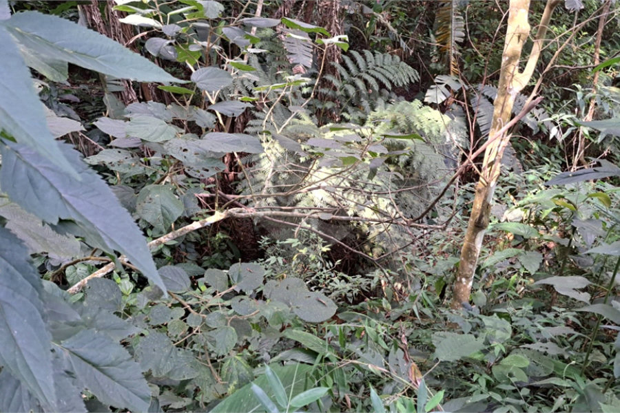 Terreno à venda em Serra da Cantareira, Mairiporã, SP