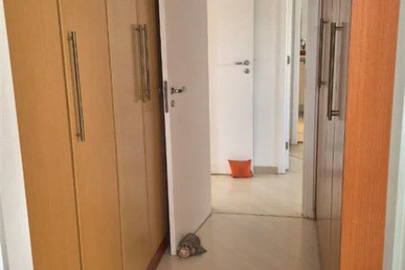 Apartamento à venda com 3 quartos, sendo 2 suítes,  em Vila Romana, São Paulo, SP
