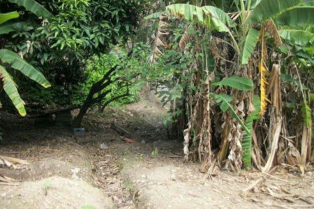 Terreno à venda em Jardim Jussara, São Paulo, SP