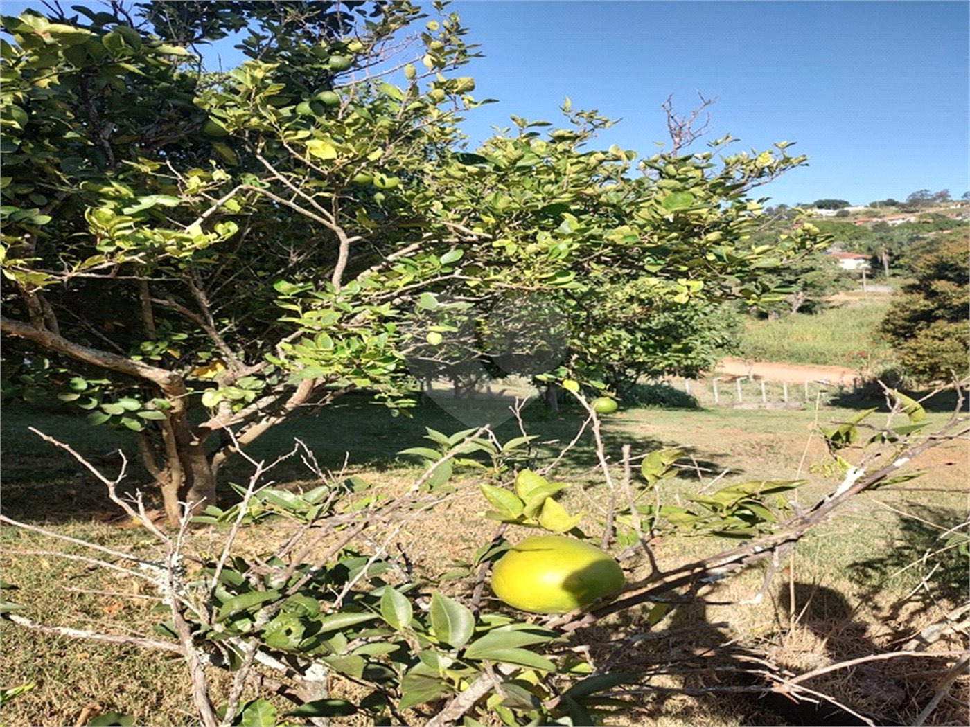 Chácara à venda com 4 quartos, sendo 1 suíte, em Chácaras Fernão Dias, Atibaia, SP