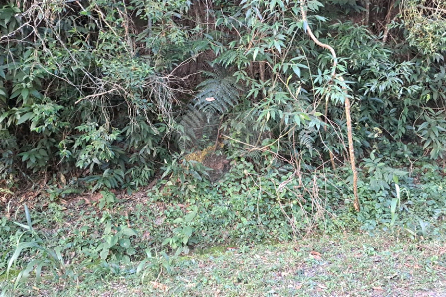 Terreno à venda no condomínio Associação Reserva das Hortênsias, Mairiporã - SP