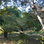 Terreno à venda em Vila Verde, Armação dos Búzios, RJ